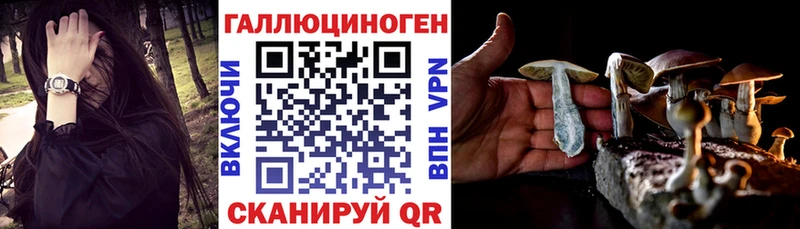 Галлюциногенные грибы MAGIC MUSHROOMS дарнет шоп shop наркотические препараты Цимлянск